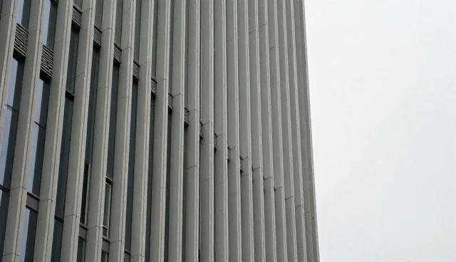 财税业务发展趋势：商务代理服务如何应对市场变化